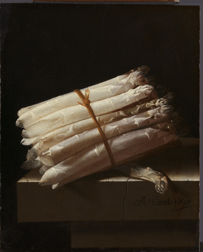 Still Life with Asparagus